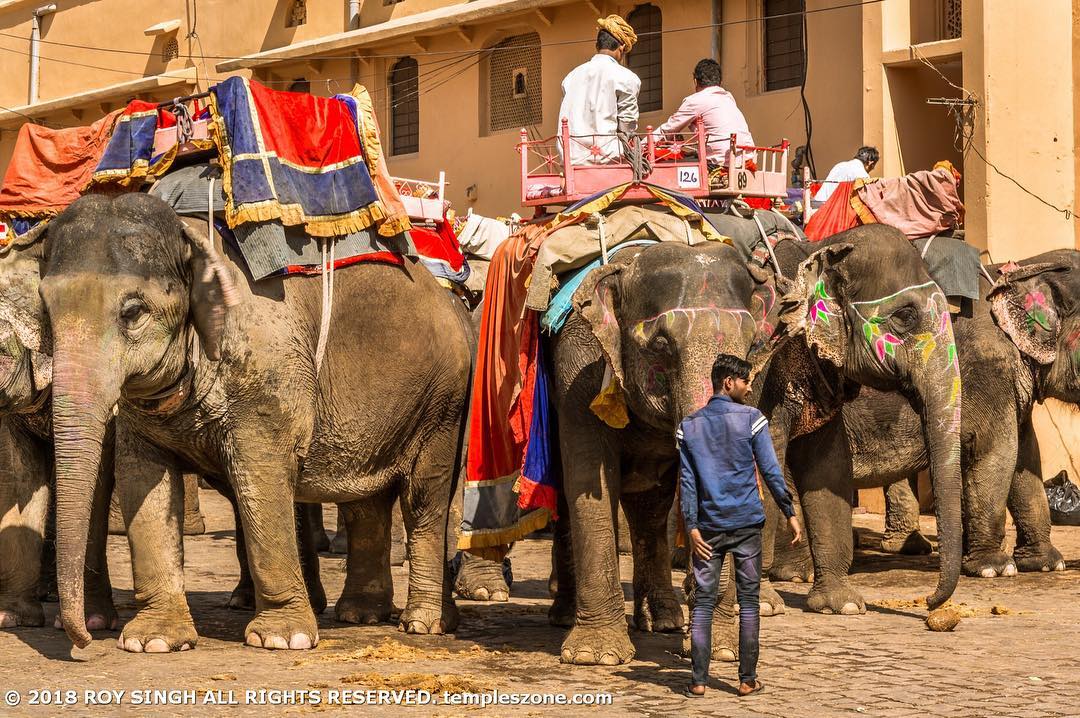 If you do visit Amer Fort don’t forget to take the Elephant Ride all the way to …