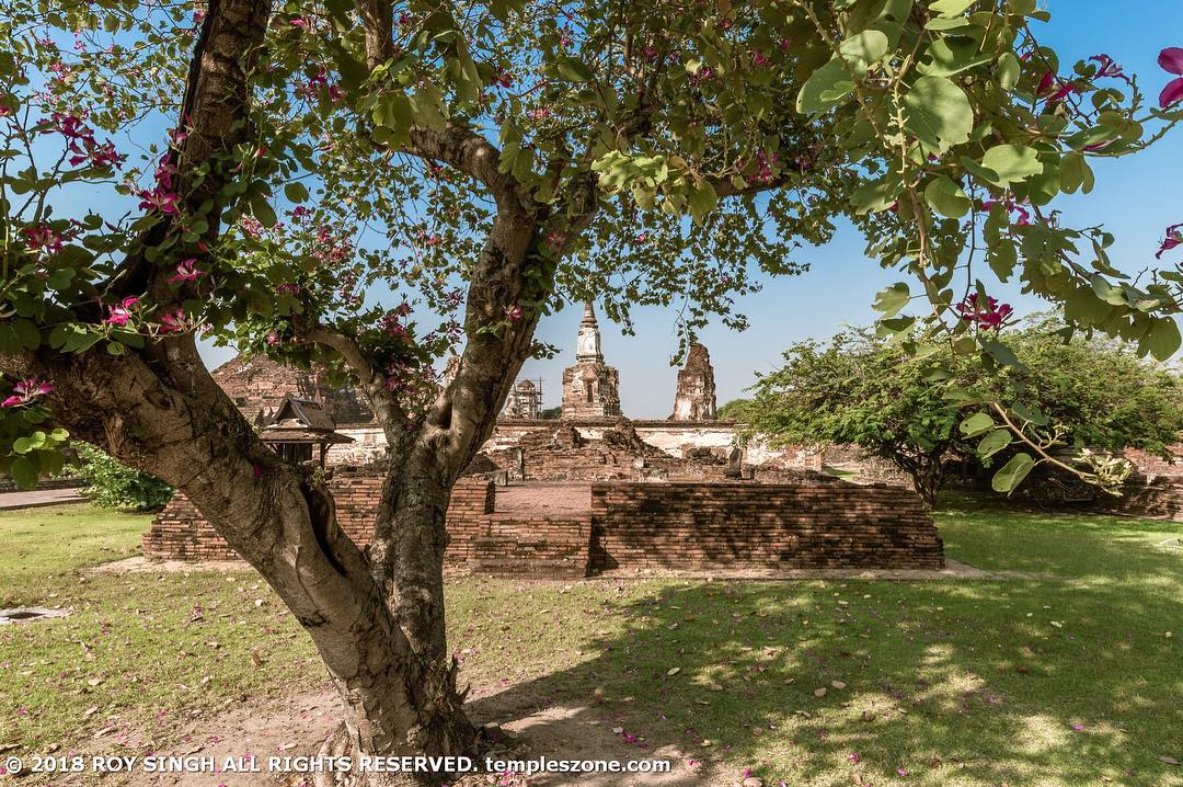 The Wat Mahathat Ayutthaya is located in the center of old Ayutthaya, between Ch…