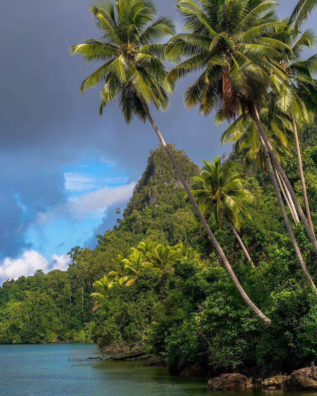 Kabui Bay in Raja Ampat, West Papua – Indonesia. #rajaampat #pianemo #gamislands…